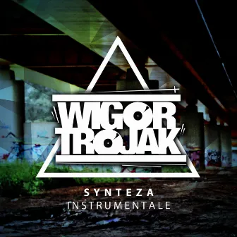 Synteza Instrumentale by Wigor Trojak