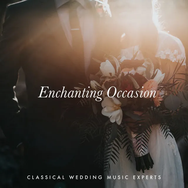 Enchanting Occasion