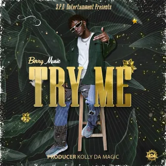 Try Me by Berry Music