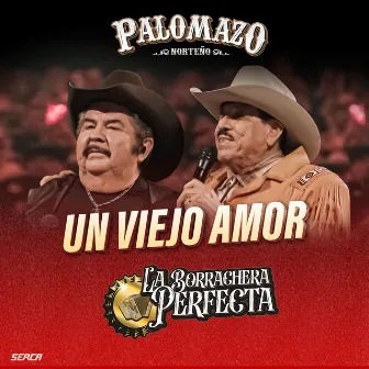 Un Viejo Amor (En Vivo) by PALOMAZO NORTEÑO