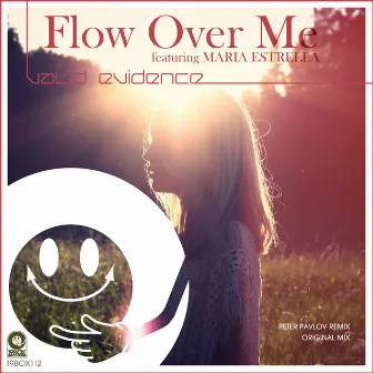 Flow Over Me by Valid Evidence