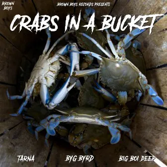 Crabs in a Bucket by Tarna