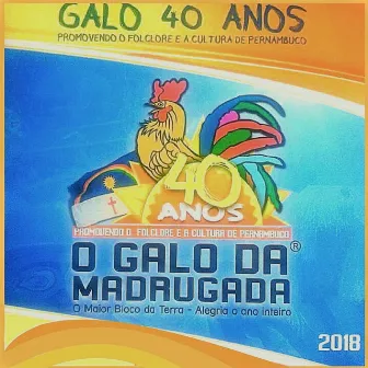 Galo 40 Anos: Promovendo o Folclore e a Cultura de Pernambuco (O Maior Bloco da Terra / Alegria o Ano Inteiro) by Galo da Madrugada