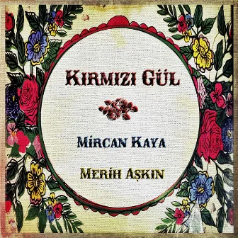 Kırmızı Gül by Mircan Kaya