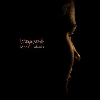 Wayward by Modal Colours