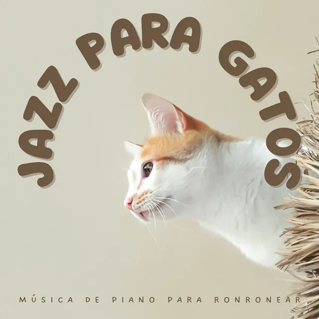 Jazz Para Gatos: Música De Piano Para Ronronear