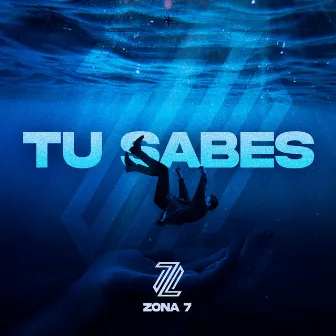 Tu Sabes by Zona 7