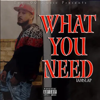 What You Need by IamSlap