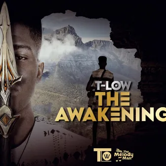 The Awakening by T-Low