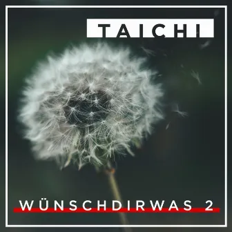 Wünsch dir was 2 by Taichi