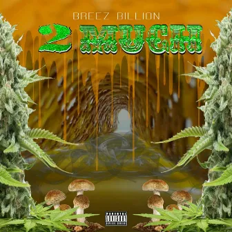 2much by Breez Billion