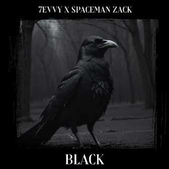 Black by 7evvy