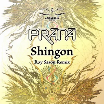 Shingon by Roy Sason