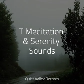 T Meditation & Serenity Sounds by Academia de Música para Massagem e Relaxamento