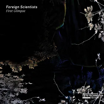 First Glimpse by Foreign Scientists