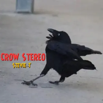 Crow Stereo by Stevie T