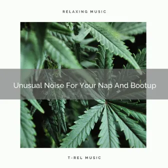 Unusual Noise For Your Nap And Bootup by Baby Shusher And Lullaby