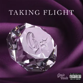 Taking Flight by Genie Beats