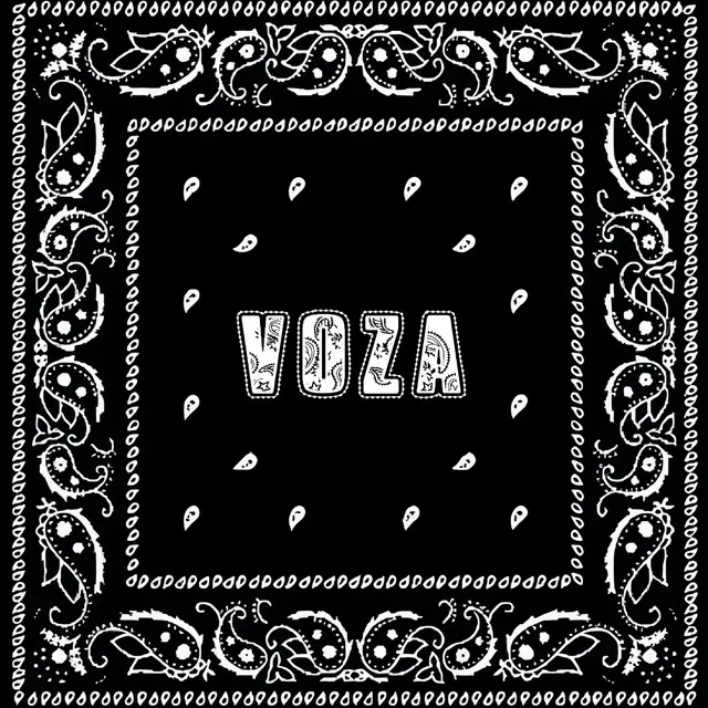 Voza