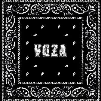 Voza by VODVIL