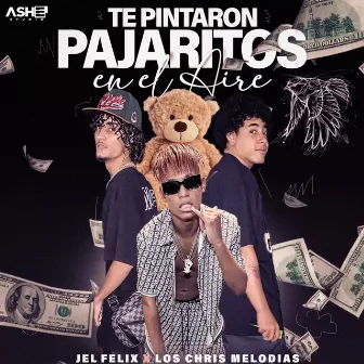 Te Pintaron Pajaritos En El Aire (Cuban Version) by Los Chris Melodias