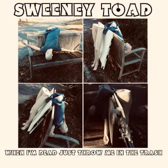 When I'm Dead Just Throw Me in the Trash by Sweeney Toad