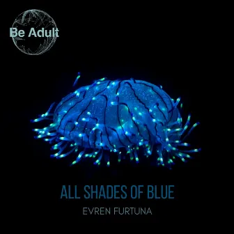 All Shades of Blue by Evren Furtuna