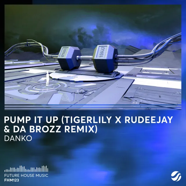 Pump It Up (Tigerlily x Rudeejay & Da Brozz Remix)