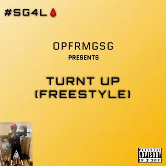 Turnt Up (Freestyle) by OPFRMGSG