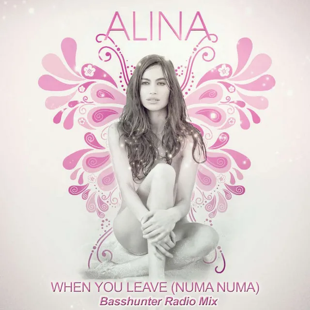 When You Leave [Numa Numa] - Basshunter Radio Mix