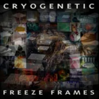 Freeze Frames by Cryogenetic