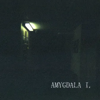 Amygdala I. by Jung Lov