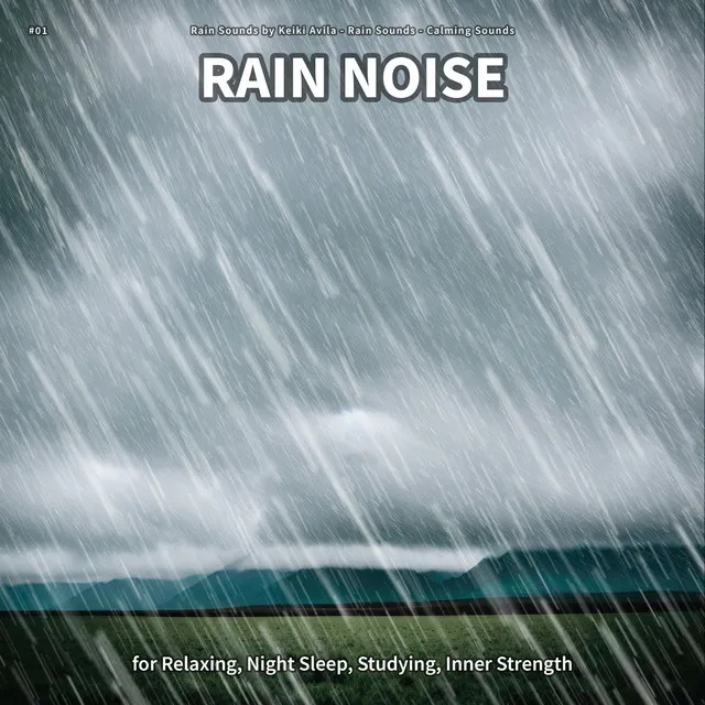 Rain Noise, Pt. 25