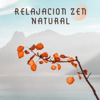 Relajacion Zen Natural - Relajese con la Musica Ambient y los Sonidos de la Naturaleza Creados para la Meditacion, la Relajacion, el Spa y el Bienestar by Calm Music Zone