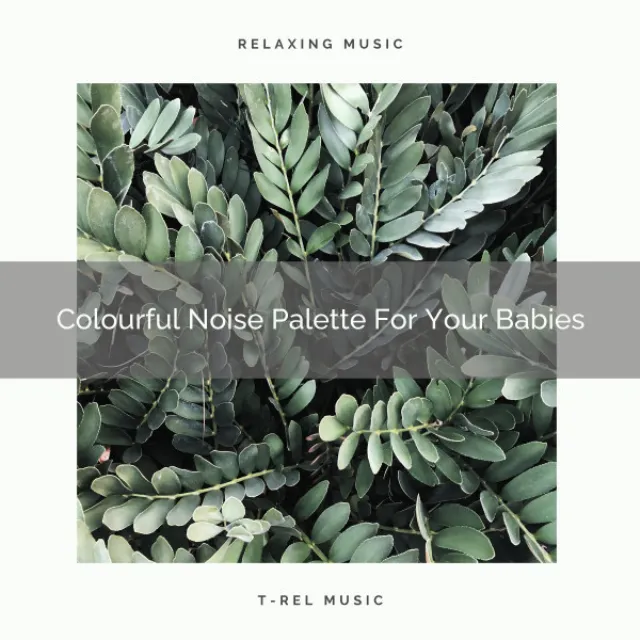 Colourful Noise Palette For Your Babies