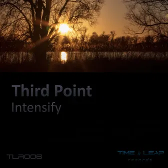 Intensify by Third Point