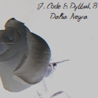 Dalia Negra by J. Code