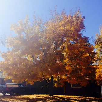 Autumn Leaves by Leo the Mannequin