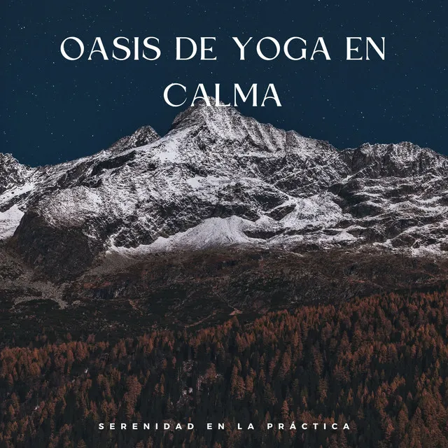 Oasis De Yoga En Calma: Serenidad En La Práctica