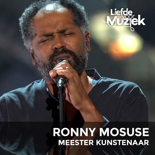 Meester Kunstenaar - Uit Liefde Voor Muziek