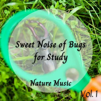 Nature Music: Sweet Noise of Bugs for Study Vol. 1 by Nature Field Recordings