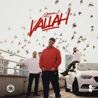 Vallah by Credibil