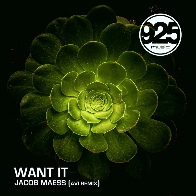 Want It - Avi Remix