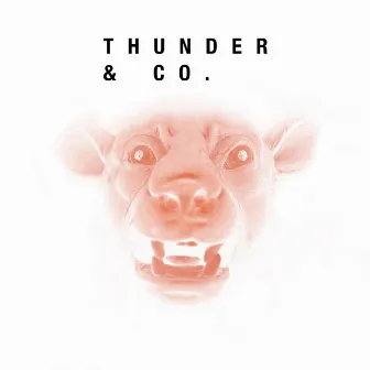 Thunder & Co. by Thunder & Co.