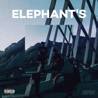 Elephants by Deking