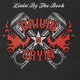 Livin' by the Book by Drivin N Cryin