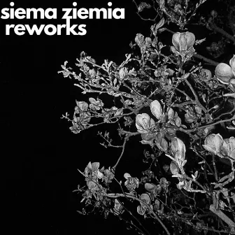 Reworks by Siema Ziemia