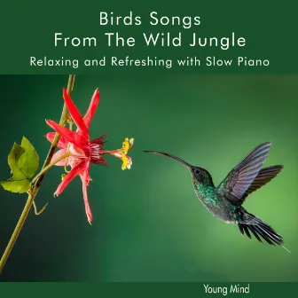 Birds Songs From The Wild Jungle by Young Mind