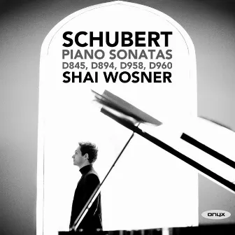 Schubert: Piano Sonatas D. 845, D. 894, D. 958, D. 960 by Shai Wosner