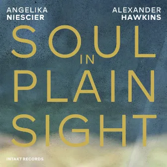 Soul in Plain Sight by Angelika Niescier